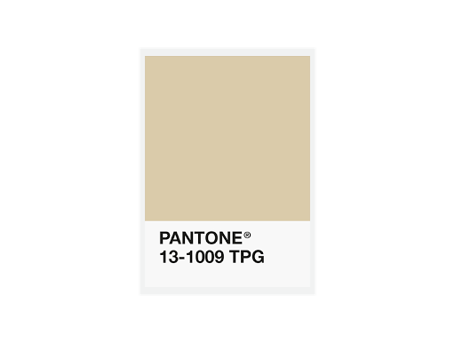 FiberForce Pantone® Certified PLA – 1.75mm – 750g – 1.75毫米 – 750克