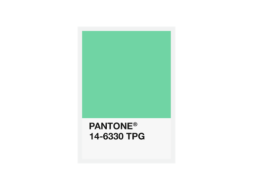 FiberForce Pantone® Certified PLA – 1.75mm – 750g – 1.75毫米 – 750克