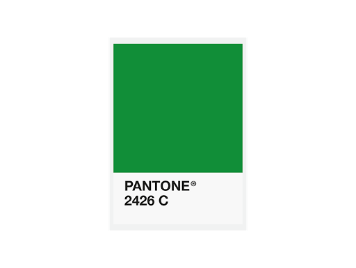FiberForce Pantone® Certified PLA – 1.75mm – 750g – 1.75毫米 – 750克