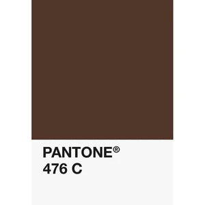 FiberForce Pantone® Certified PLA – 1.75mm – 750g – 1.75毫米 – 750克