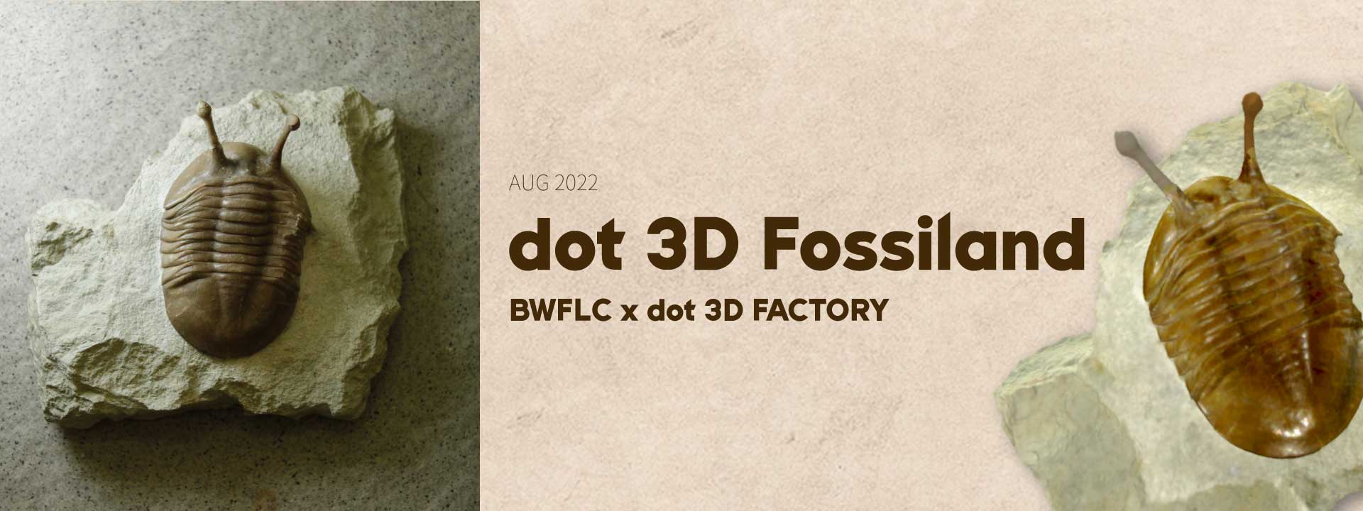 DOT 3D FOSSILAND