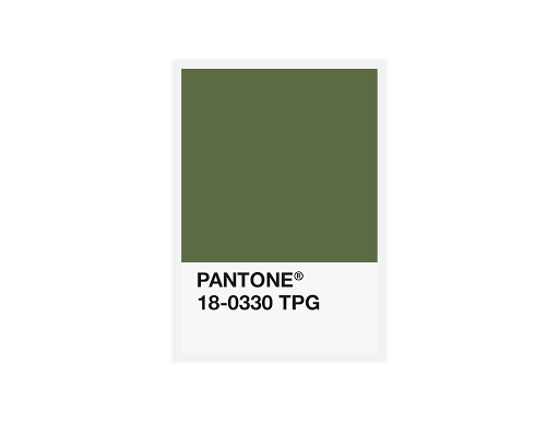 FiberForce Pantone® Certified PLA – 1.75mm – 750g - Camouflage - Pantone 18-0330 TPG