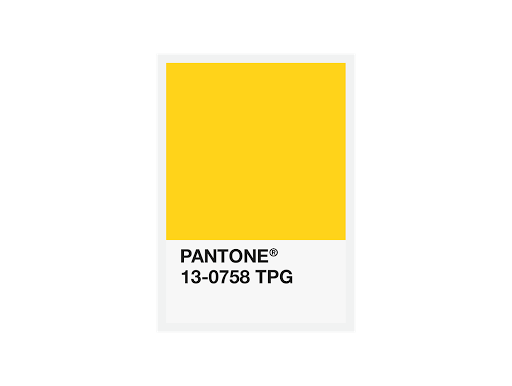 FiberForce Pantone® Certified PLA – 1.75mm – 750g – 1.75毫米 – 750克