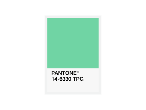 FiberForce Pantone® Certified PLA – 1.75mm – 750g